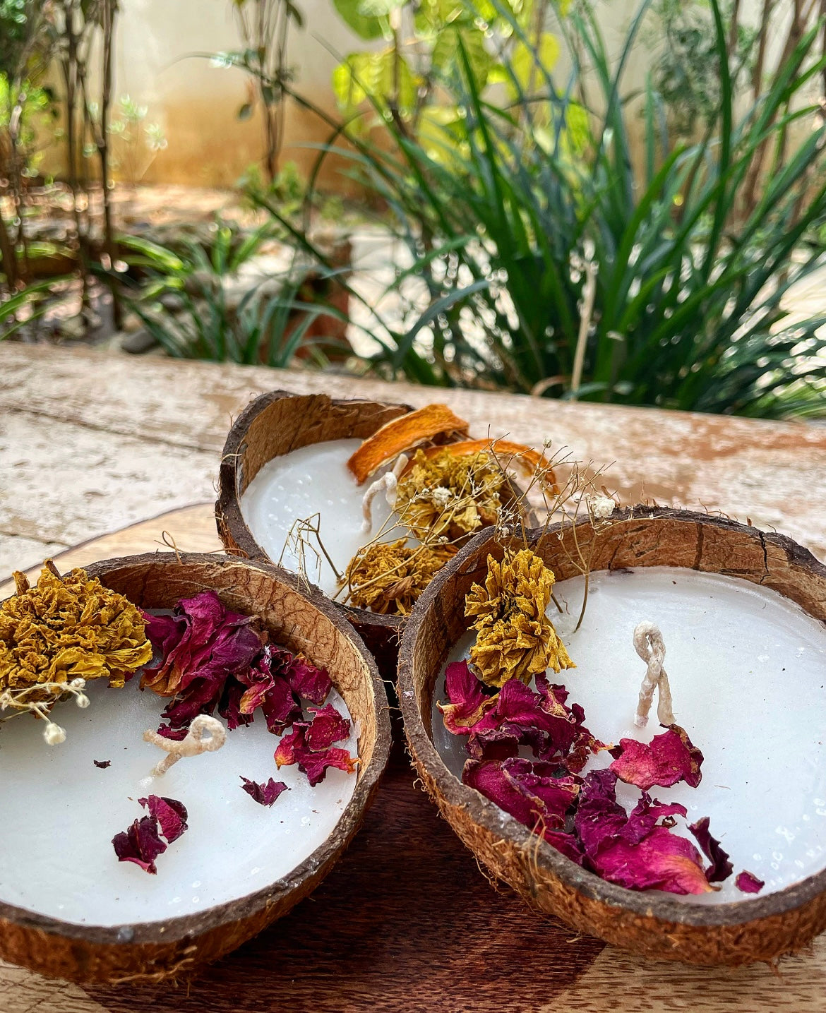 Coconut Cup