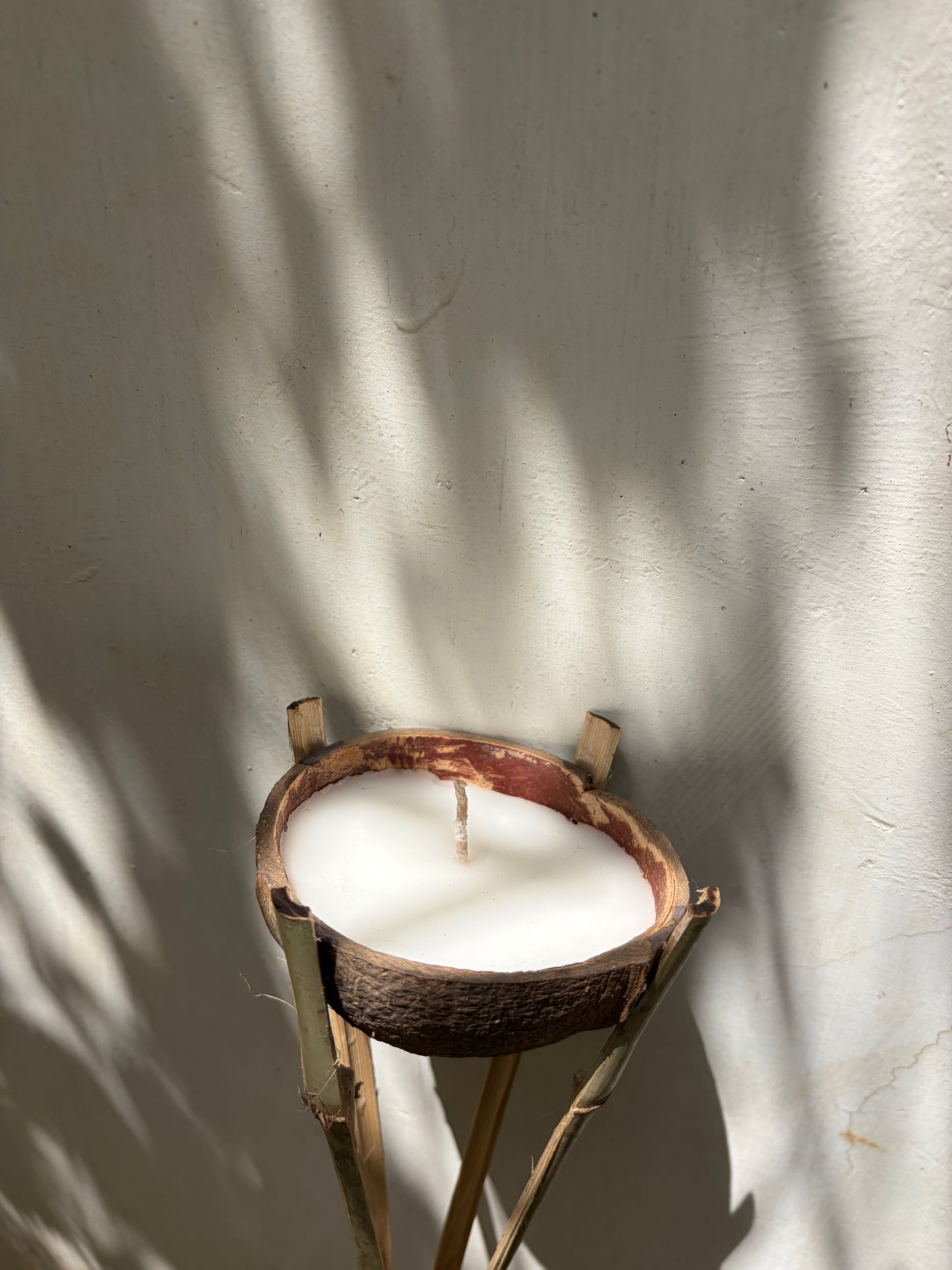Coconut Stick