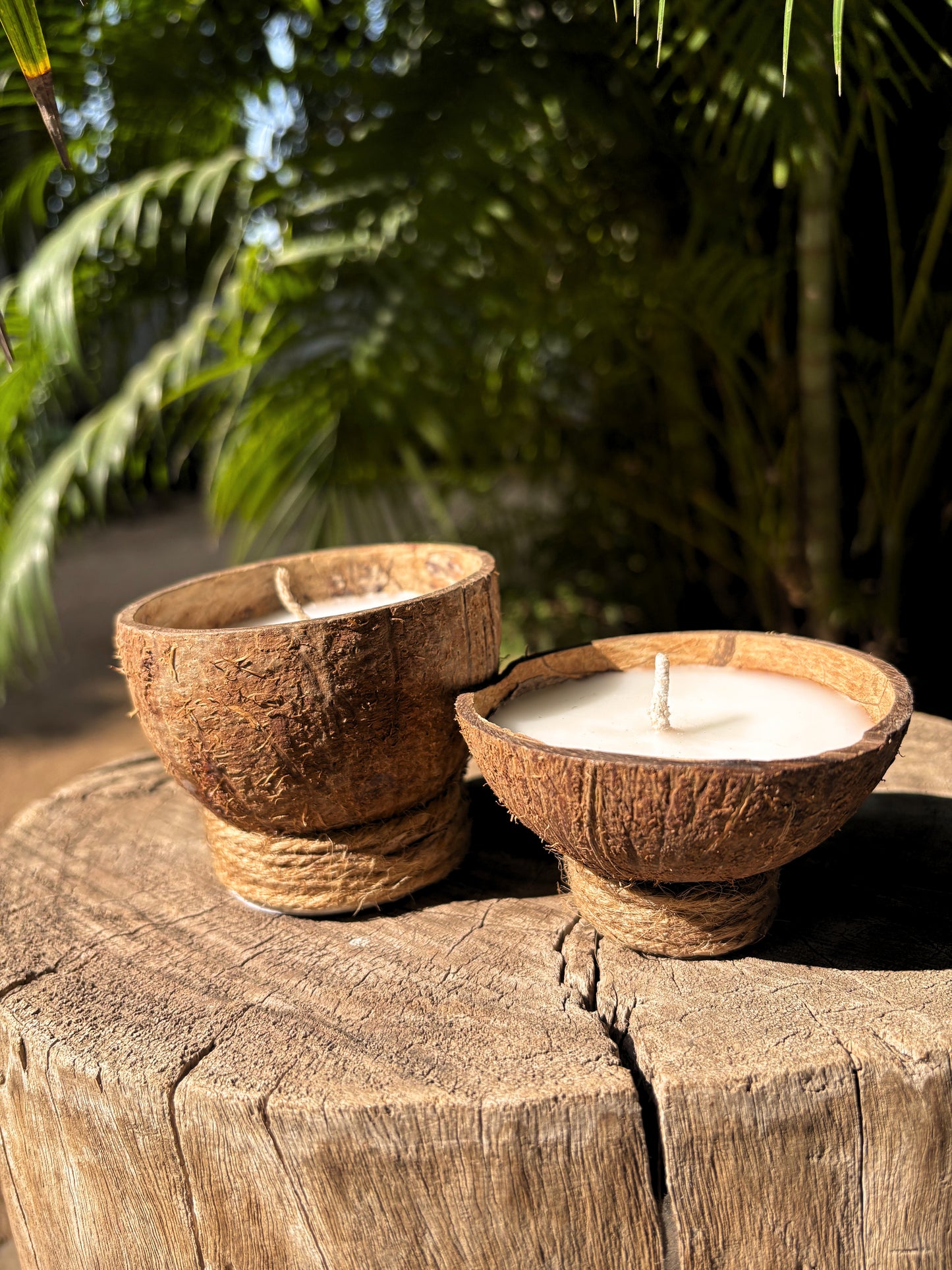 Coconut Cup