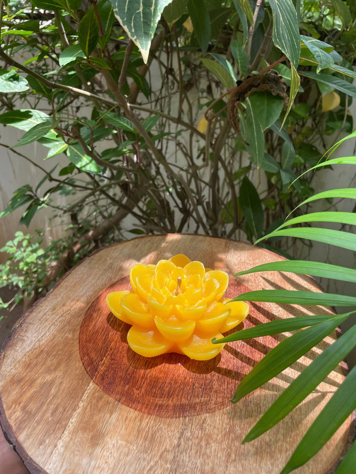 Indiglow lotus flower floating candle for decorative water displays.
