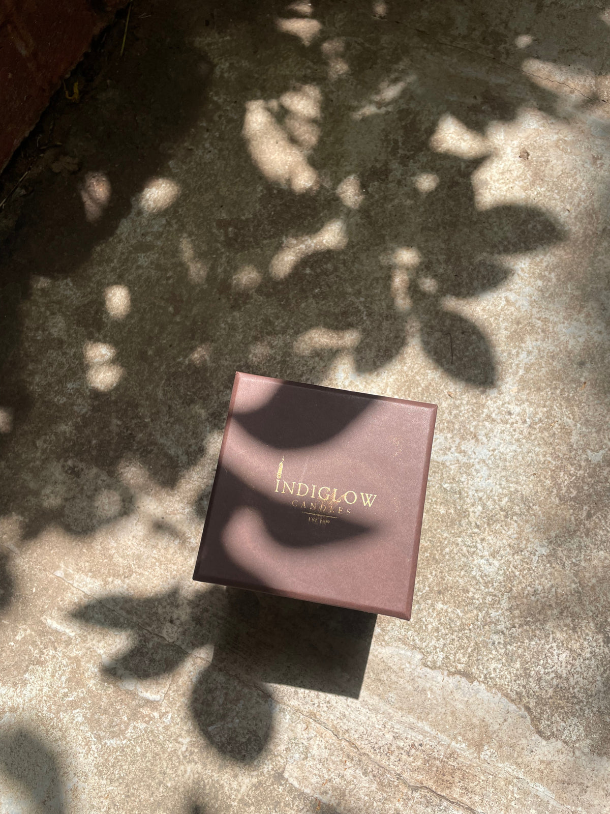 Bell Jar comes in a beautiful packaging that can be gifted to others. 
