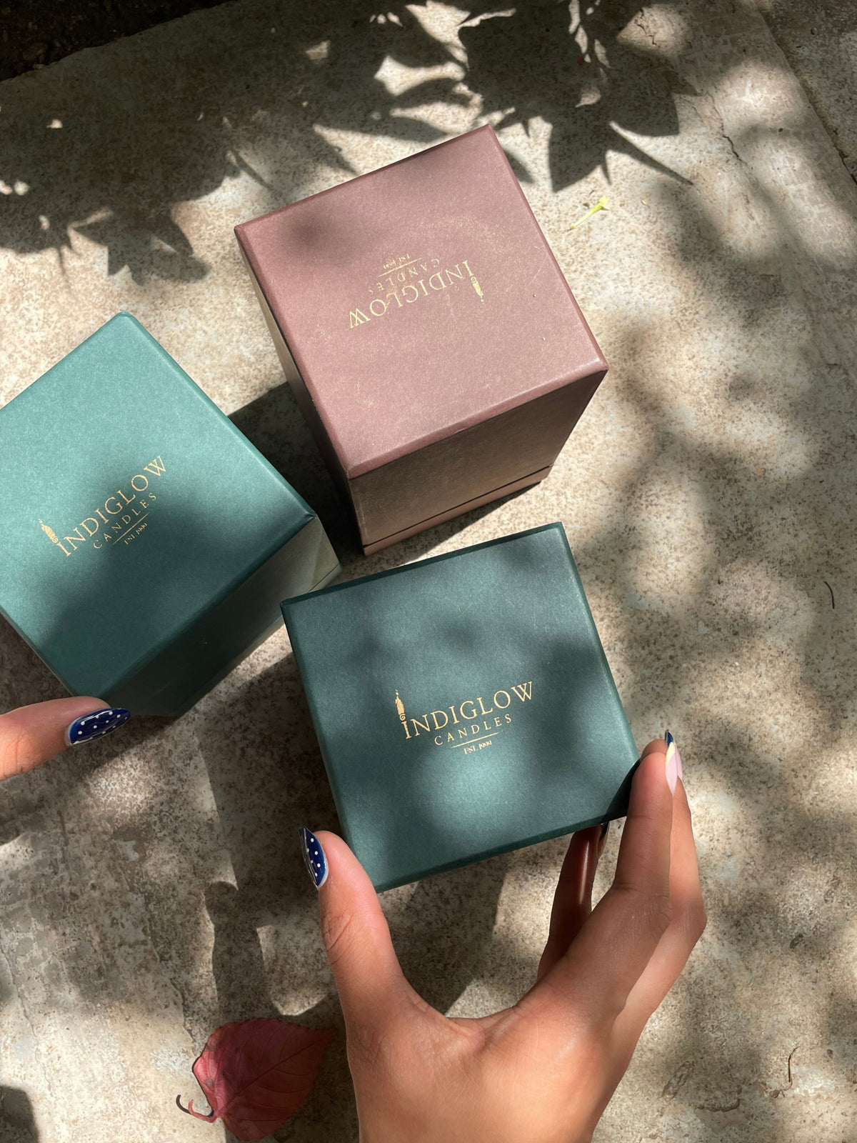 Bell Jar gift boxes
